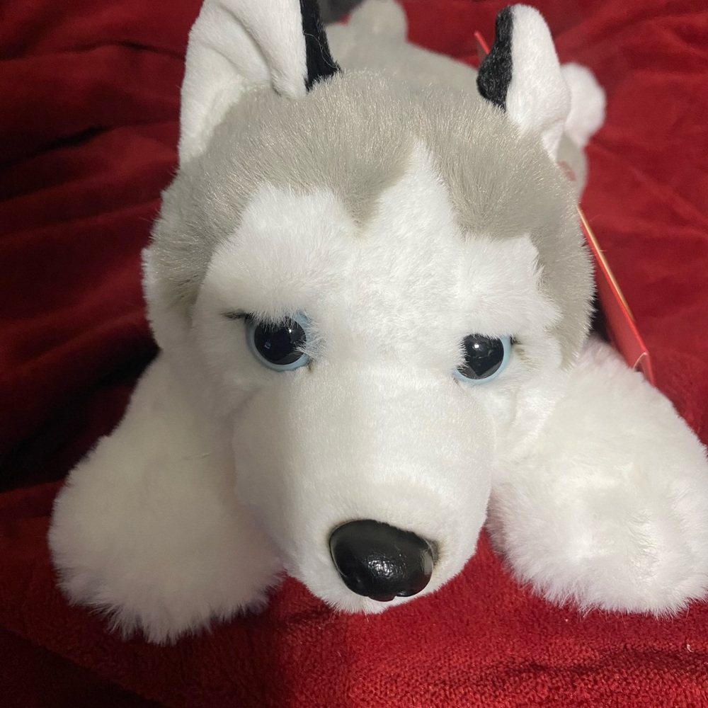 Cuddly Husky Plush Toy - White and Gray